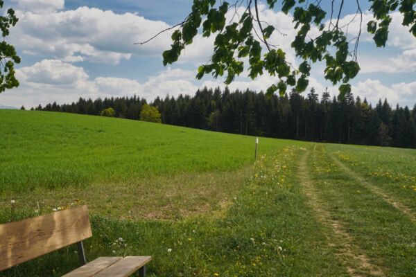 Der Chasperli von Ufhusen