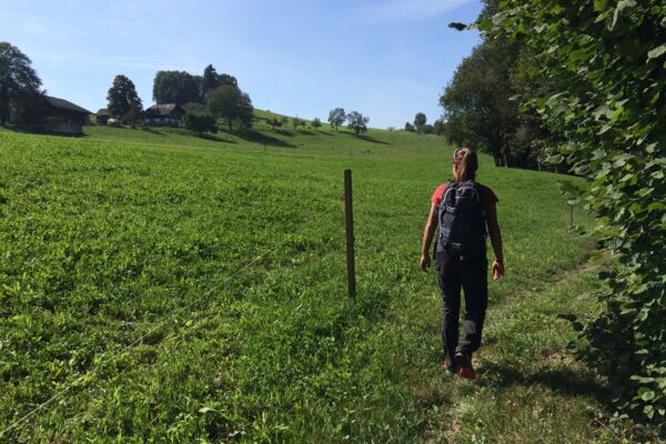 Salbrig: Weitsicht am Jakobsweg