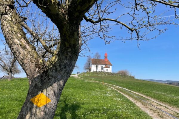 Von Eschenbach zum Baldeggersee