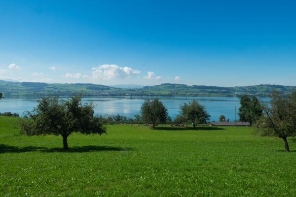 Frühlingswanderung mit Rundumblick