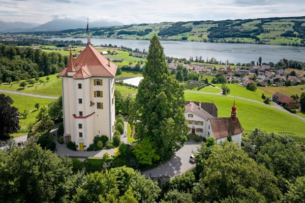 Schloss und See