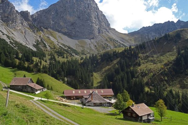 Panorama auf Zentralschweizer und Berner Alpen