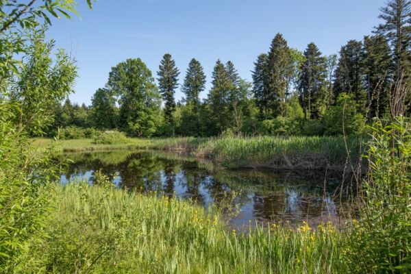 Natur und Landschaft am Erlosen