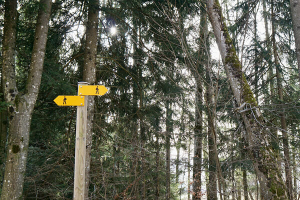 Über den Stierenberg ins Surental