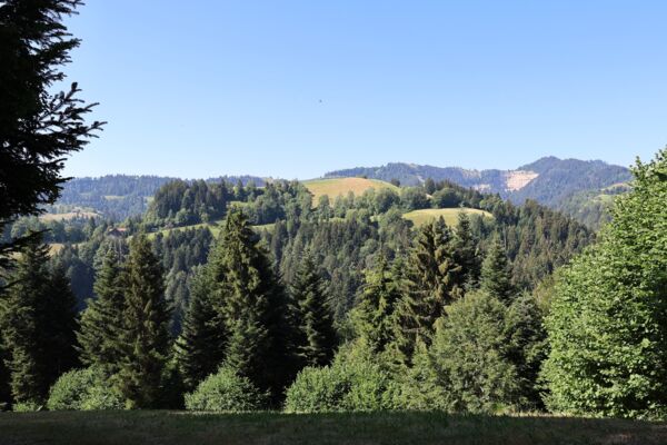 Eindrückliche Napflandschaft