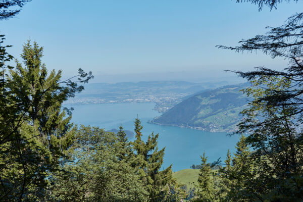 Rigi - Seebodenalp «Grüezi Weg»