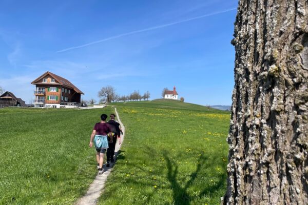 Von Eschenbach zum Baldeggersee