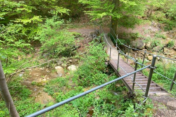Unbekanntes Tobel, historisches Schloss und kühlender See