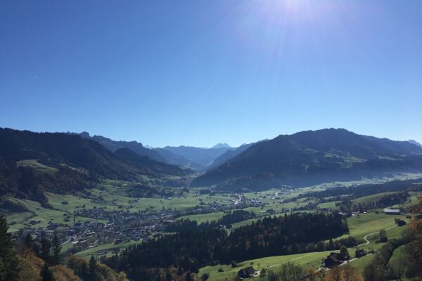 Von Egg zu Egg