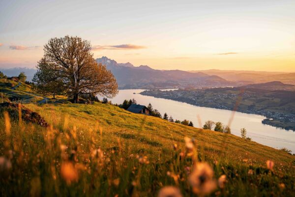 See und Berg in einem