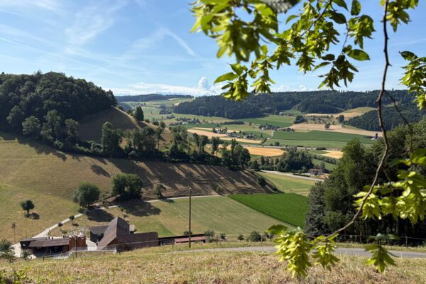Naturschätze und ein Juhee