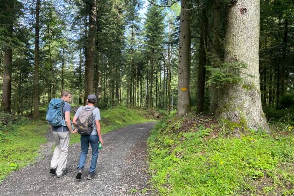 Vom Eigenthal nach Schwarzenberg