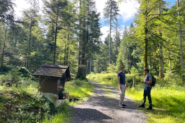Vom Eigenthal nach Schwarzenberg