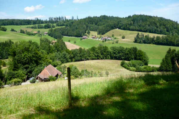 Rundwanderung zur Uerke