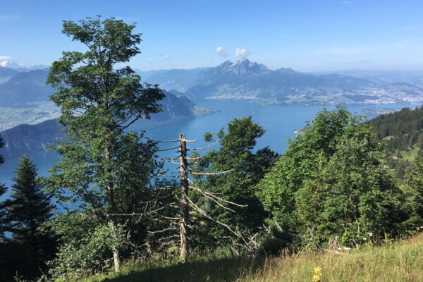 Von Küssnacht über die Rigi