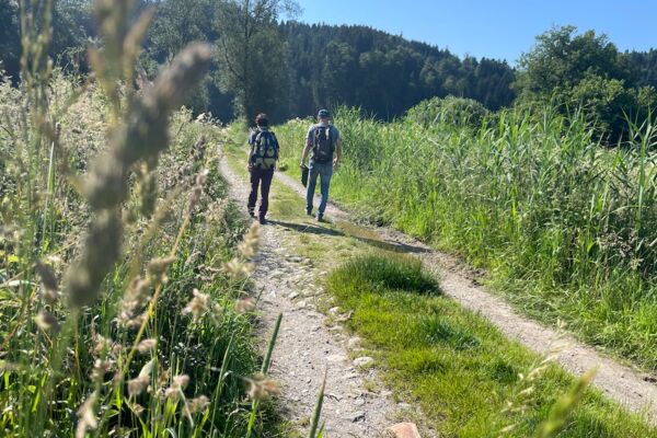 Rundwanderung ab Adligenswil
