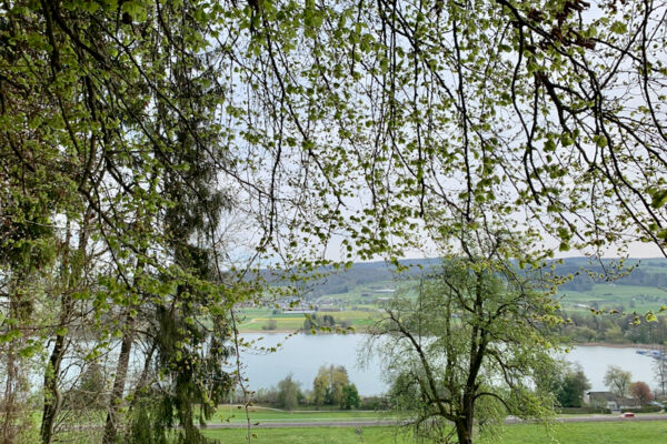 Rundwanderung Mosen