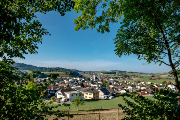 Rundwanderung Burgwald