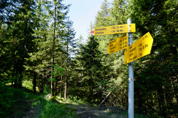 Zum neuen, alten Weg im Gebiet Riseten