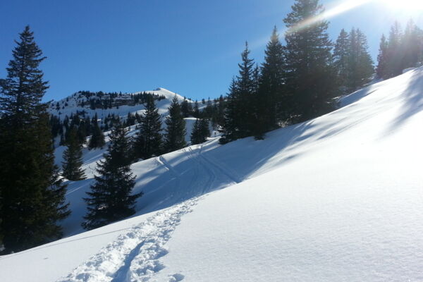 Schneeschuhtour auf den Salistock