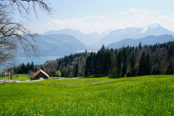 Zum neuen Weg im Steinibachwald
