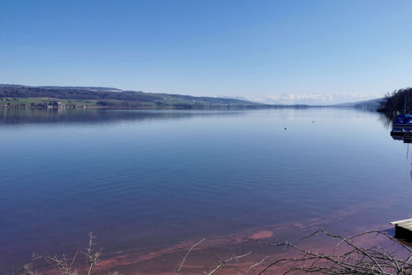 Seeuferweg Hallwilersee