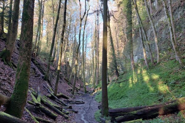Familienwanderung Sonnenberg