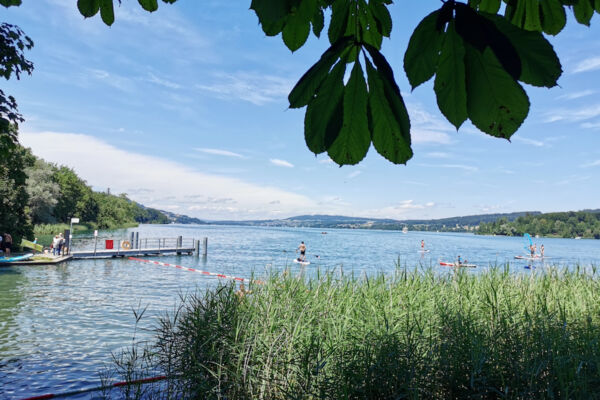 Seeuferweg Hallwilersee
