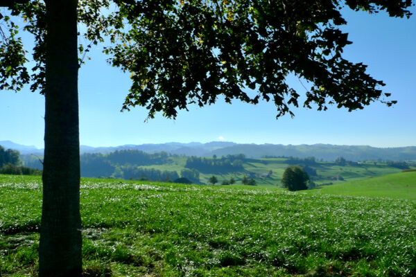 Rundwanderung Wolhusen Buholz