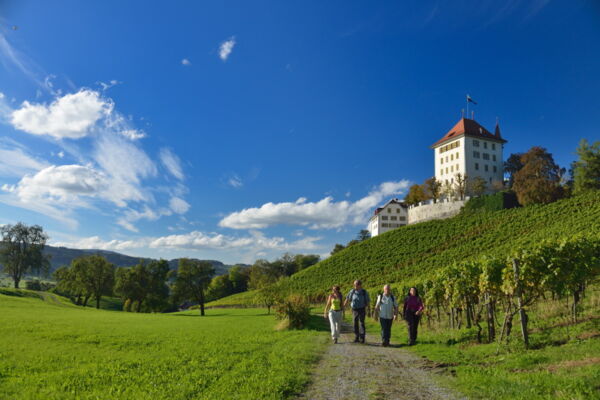 Kultur und Natur entlang des Baldeggersees