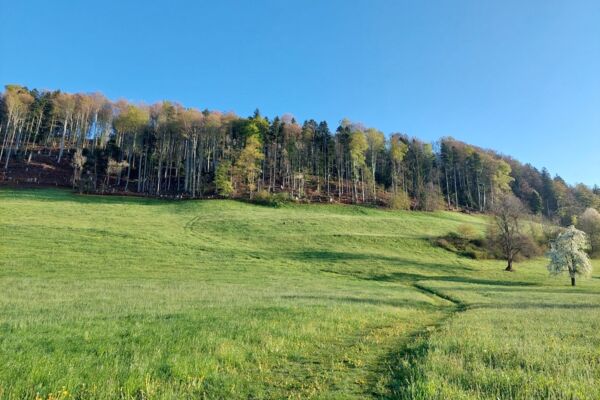 Familienwanderung Sonnenberg