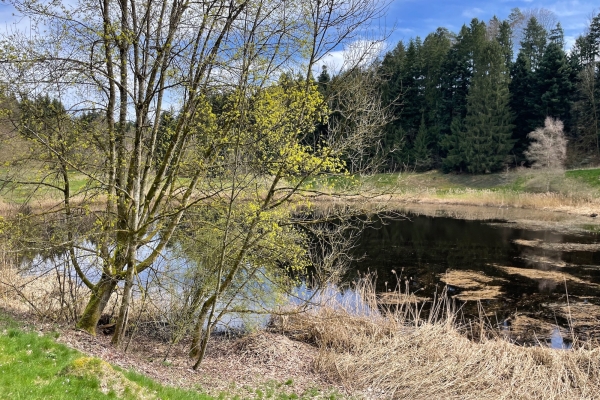 Wandern Meggerwald