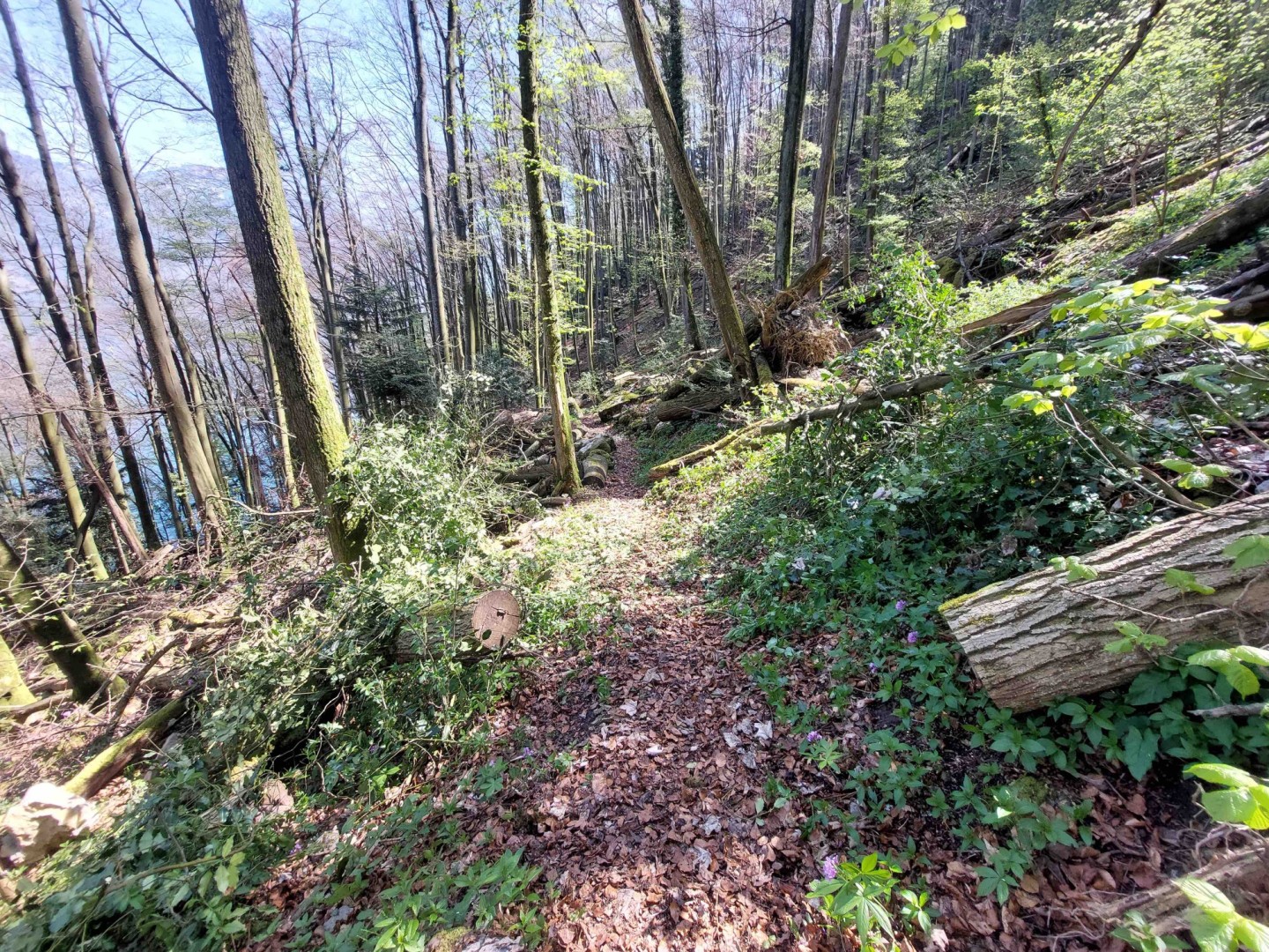 BT_Bürgenstock_20250411_125306