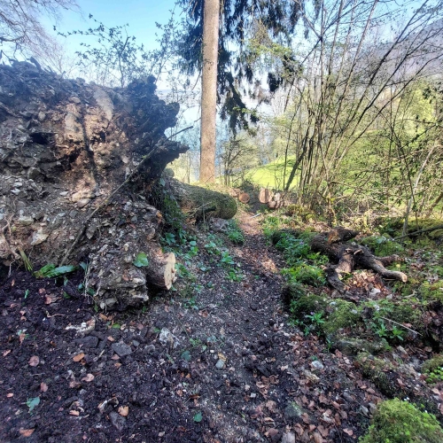 BT_Bürgenstock_20250411_114428