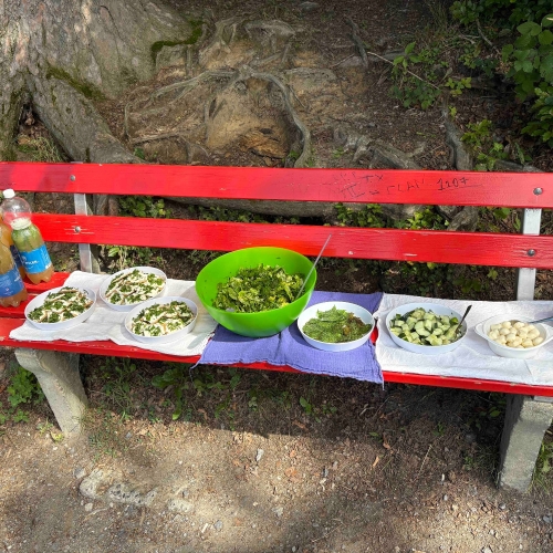 IMG_0255_Kräuterwanderung_310825_cm