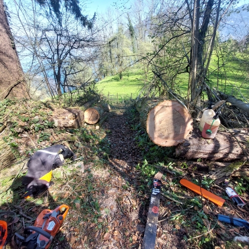 BT_Bürgenstock_20250411_114630