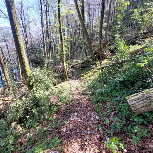 BT_Bürgenstock_20250411_125306