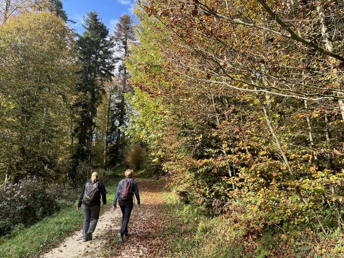 Corinne Müller und Kantonsrätin Inge Lichtsteiner im farbenprächtigen Herbstwald.