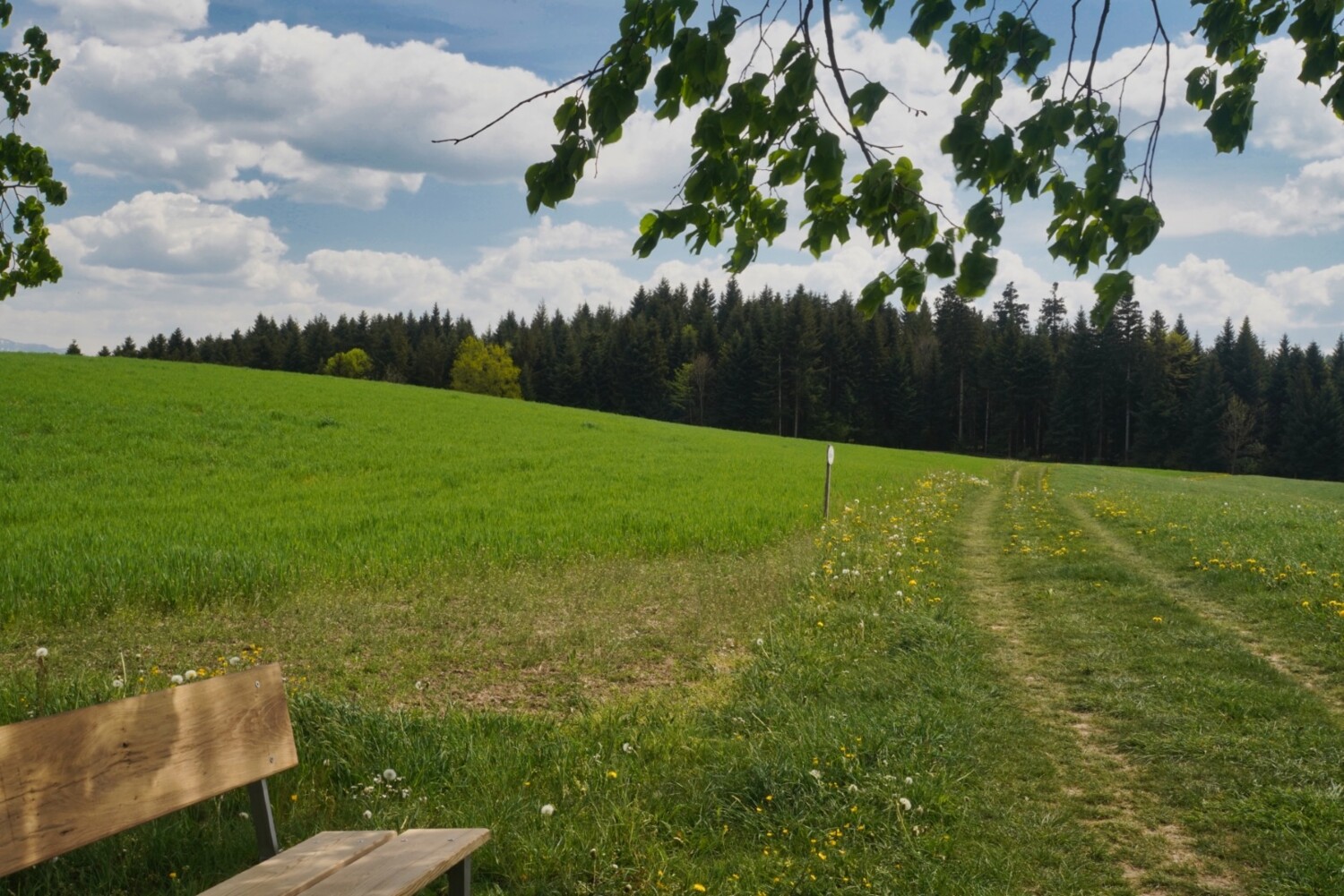Entschleunigen auf der Route Ufhusen - Zell