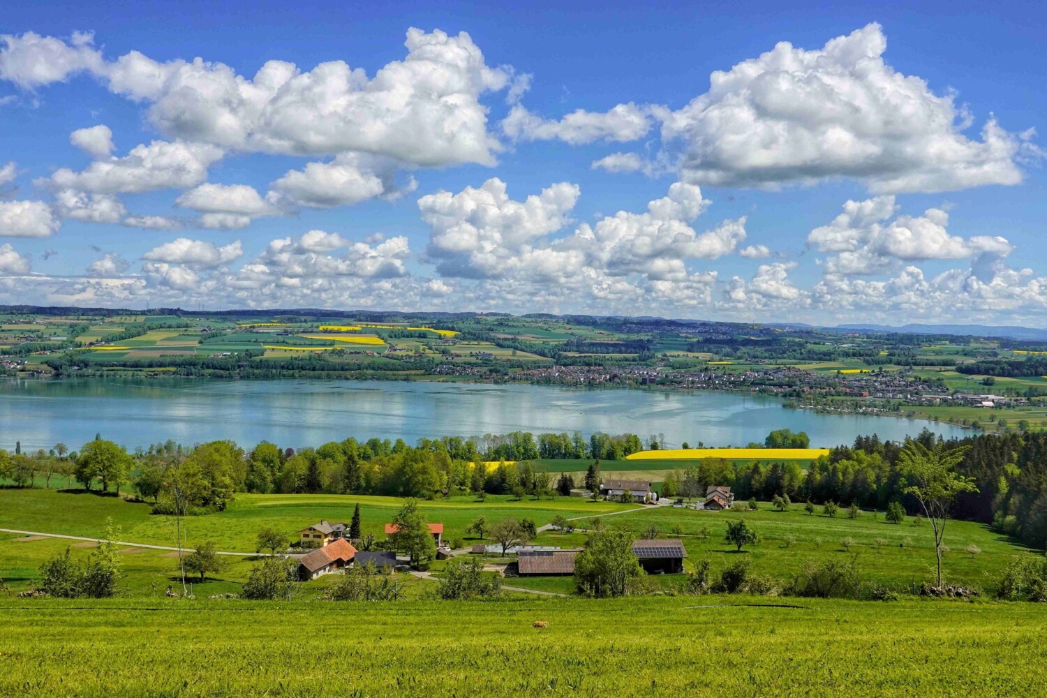 Sempachersee: Abkühlung gefällig?