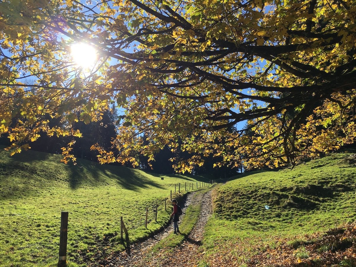 Von Egg zu Egg im Herbst