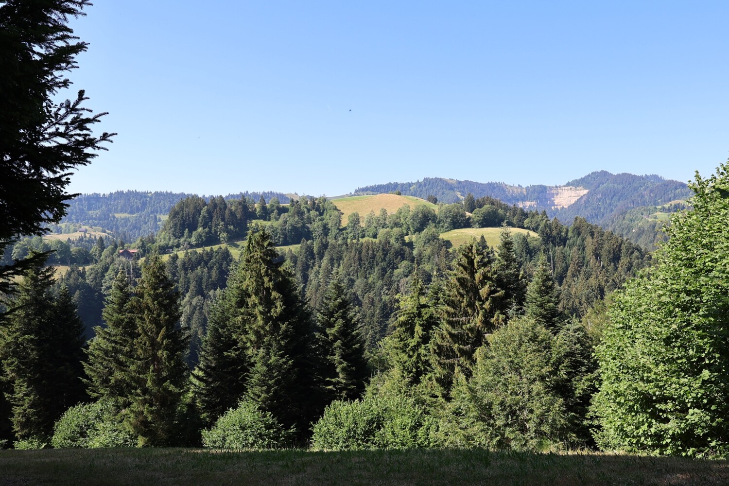 Aussicht aufs Napfgebiet