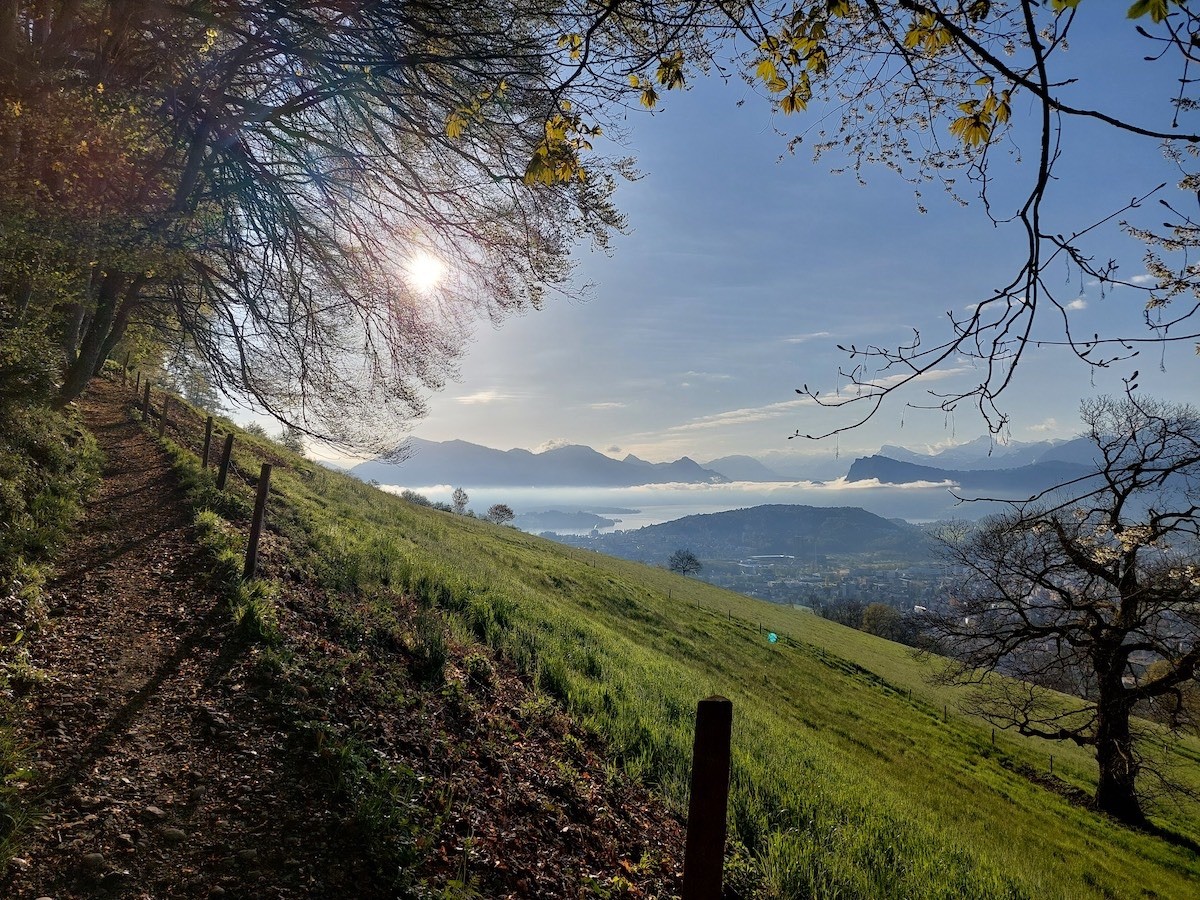 Aussicht inklusive: Zwergenweg Sonnenberg