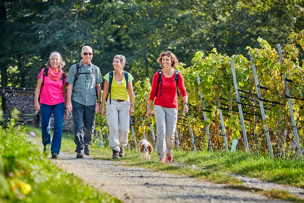 Weinwanderung Seetal