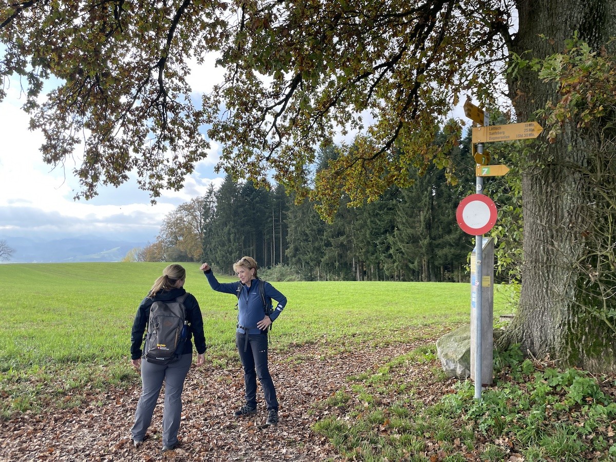 Rundblick auf dem Santeberg