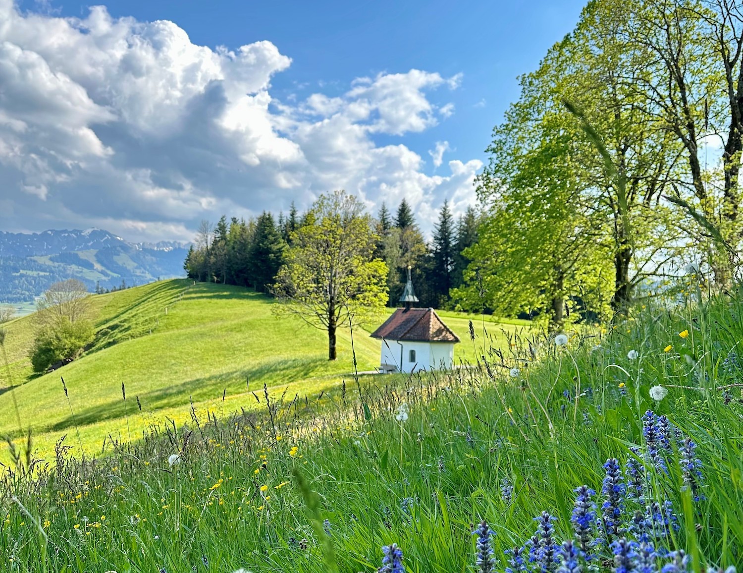 Wunderschöne Landschaft auf dem Höhenweg