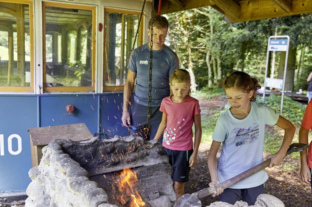 Spezielles Highlight: Ein Tram auf der Wiese