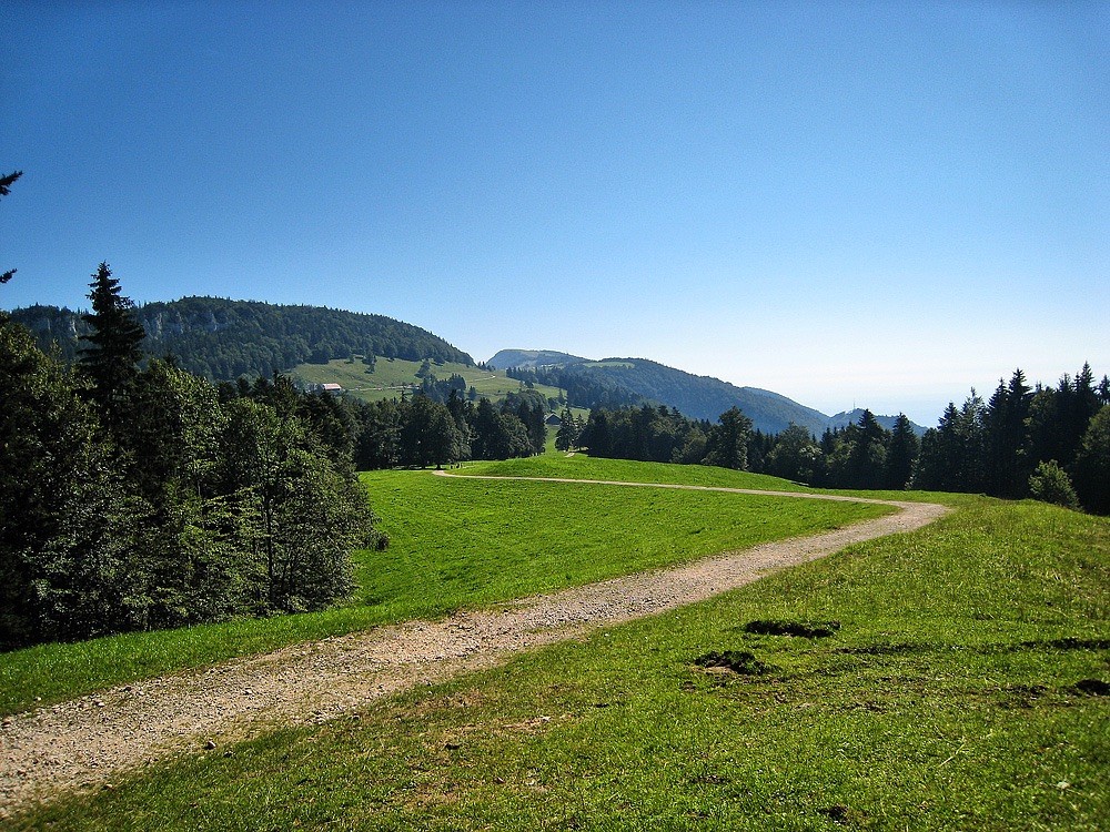 Über den Stierenberg