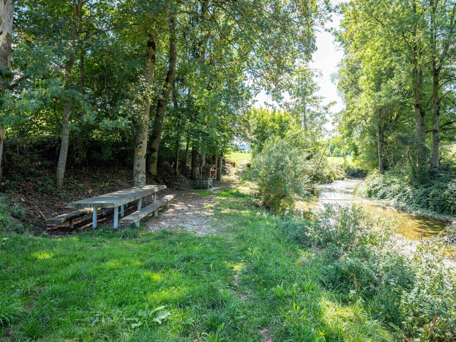 Schöne Feuerstelle am Weg