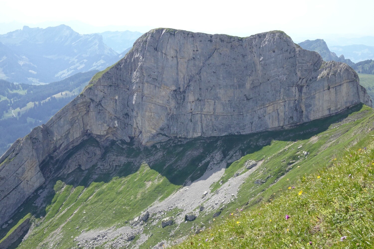 Das mächtige Widderfeld vom Tomlishorn her.